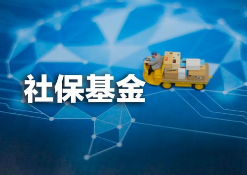 社保基金2023年投資策略與收益分析